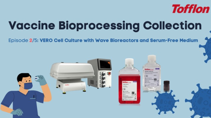 Bioreactors and Serum-Free Medium